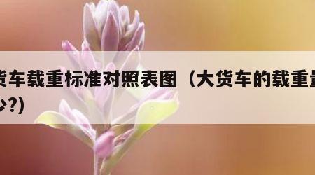 大货车载重标准对照表图（大货车的载重量是多少?）