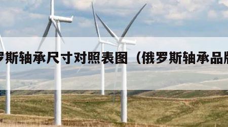 俄罗斯轴承尺寸对照表图（俄罗斯轴承品牌大全）