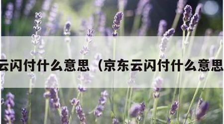 云闪付什么意思（京东云闪付什么意思）
