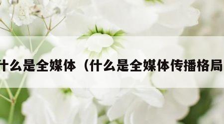 什么是全媒体（什么是全媒体传播格局）