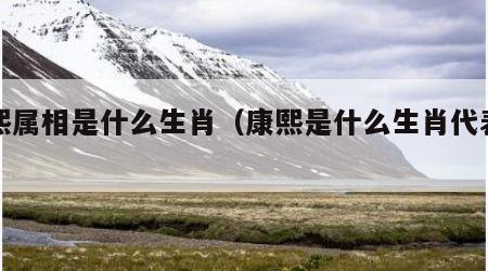 康熙属相是什么生肖（康熙是什么生肖代表动物）