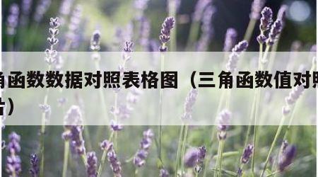 三角函数数据对照表格图（三角函数值对照表图片）