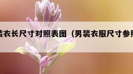 男装衣长尺寸对照表图（男装衣服尺寸参照表）