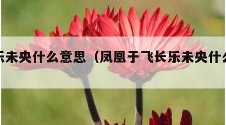 长乐未央什么意思（凤凰于飞长乐未央什么意思）
