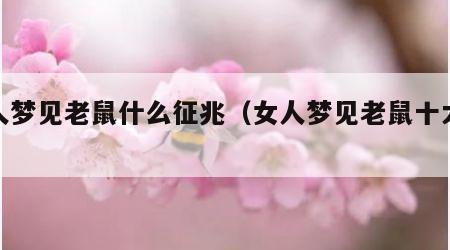 女人梦见老鼠什么征兆（女人梦见老鼠十大预兆）