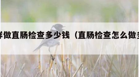 怎样做直肠检查多少钱（直肠检查怎么做多少钱）