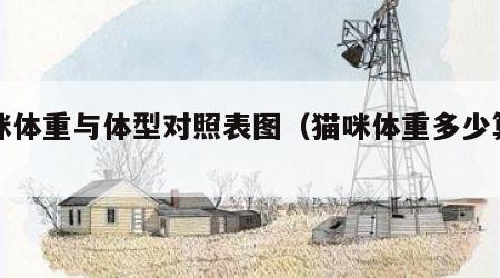 猫咪体重与体型对照表图（猫咪体重多少算正常）