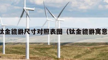 钛金貔貅尺寸对照表图（钛金貔貅寓意）