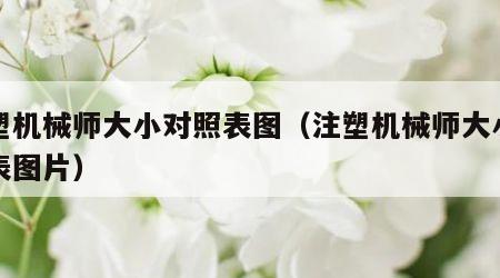 注塑机械师大小对照表图（注塑机械师大小对照表图片）