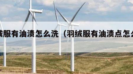 羽绒服有油渍怎么洗（羽绒服有油渍点怎么去除）