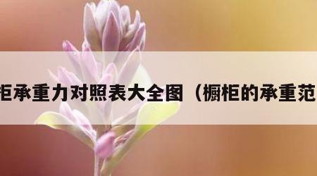 橱柜承重力对照表大全图（橱柜的承重范围）