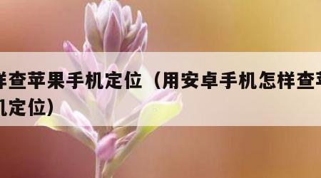 怎样查苹果手机定位（用安卓手机怎样查苹果手机定位）