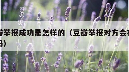 豆瓣举报成功是怎样的（豆瓣举报对方会有提醒吗）