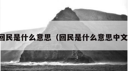 回民是什么意思（回民是什么意思中文）