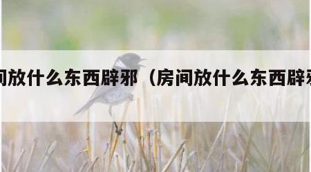 房间放什么东西辟邪（房间放什么东西辟邪防鬼）
