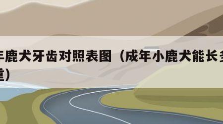 成年鹿犬牙齿对照表图（成年小鹿犬能长多大多重）