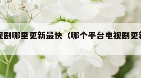 电视剧哪里更新最快（哪个平台电视剧更新快）
