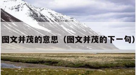 图文并茂的意思（图文并茂的下一句）
