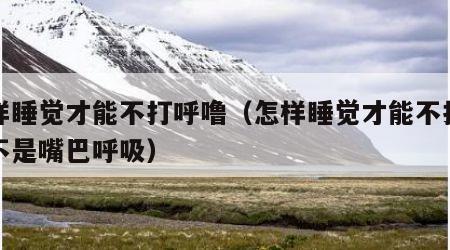 怎样睡觉才能不打呼噜（怎样睡觉才能不打呼噜不是嘴巴呼吸）