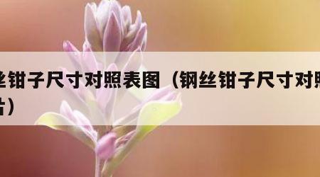 钢丝钳子尺寸对照表图（钢丝钳子尺寸对照表图片）