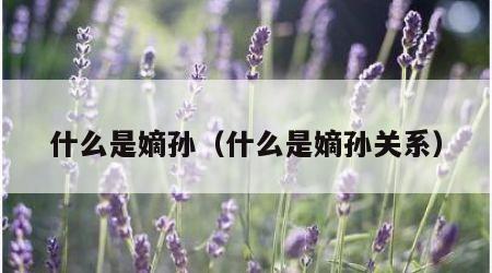 什么是嫡孙（什么是嫡孙关系）