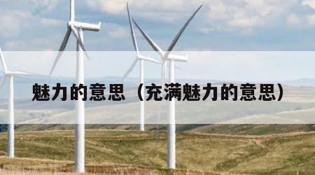 魅力的意思（充满魅力的意思）