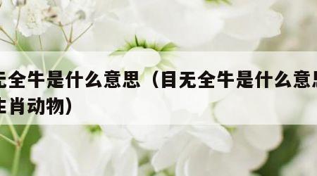 目无全牛是什么意思（目无全牛是什么意思打一生肖动物）