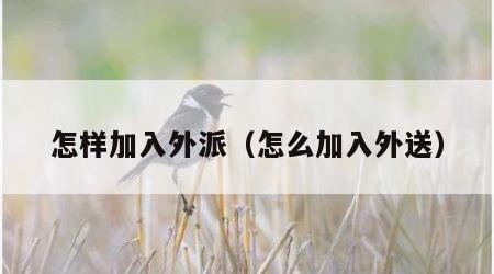 怎样加入外派（怎么加入外送）