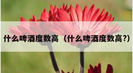 什么啤酒度数高（什么啤酒度数高?）