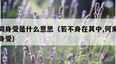 感同身受是什么意思（若不身在其中,何来感同身受）