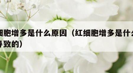 红细胞增多是什么原因（红细胞增多是什么原因导致的）