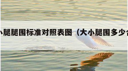 大小腿腿围标准对照表图（大小腿围多少合适）