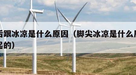 脚后跟冰凉是什么原因（脚尖冰凉是什么原因引起的）