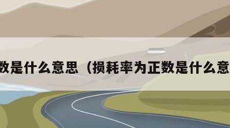 正数是什么意思（损耗率为正数是什么意思）