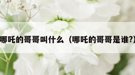 哪吒的哥哥叫什么（哪吒的哥哥是谁?）