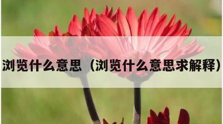 浏览什么意思（浏览什么意思求解释）