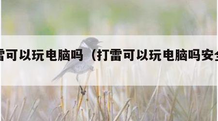 打雷可以玩电脑吗（打雷可以玩电脑吗安全吗）
