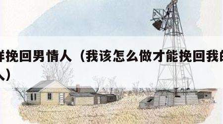 怎样挽回男情人（我该怎么做才能挽回我的男情人）