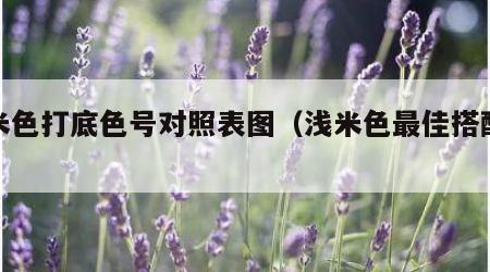 浅米色打底色号对照表图（浅米色最佳搭配颜色）