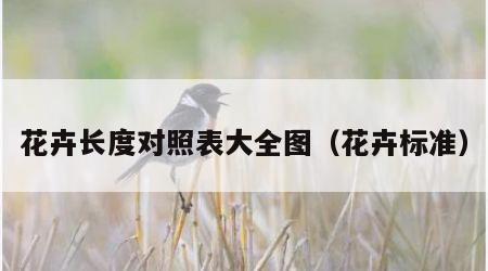 花卉长度对照表大全图（花卉标准）
