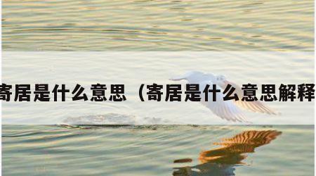 寄居是什么意思（寄居是什么意思解释）