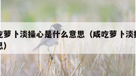 闲吃萝卜淡操心是什么意思（咸吃萝卜淡操心意思）