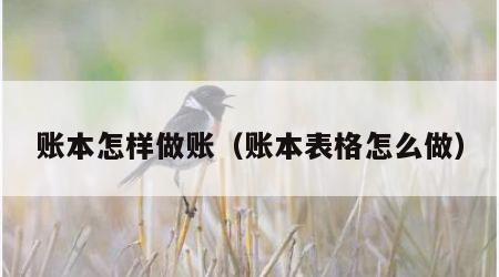 账本怎样做账（账本表格怎么做）