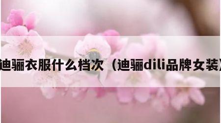 迪骊衣服什么档次（迪骊dili品牌女装）