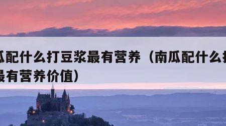 南瓜配什么打豆浆最有营养（南瓜配什么打豆浆最有营养价值）