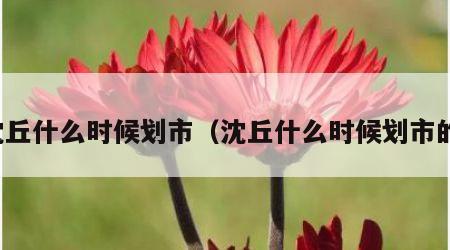 沈丘什么时候划市（沈丘什么时候划市的）