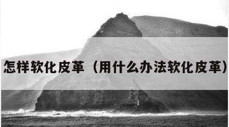 怎样软化皮革（用什么办法软化皮革）