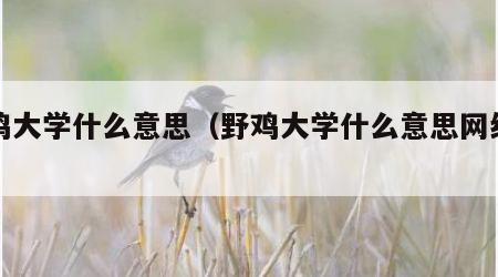 野鸡大学什么意思（野鸡大学什么意思网络用语）