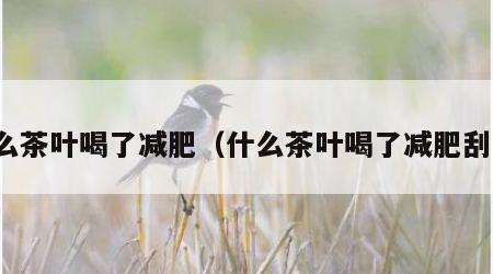 什么茶叶喝了减肥（什么茶叶喝了减肥刮油）
