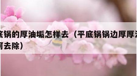 平底锅的厚油垢怎样去（平底锅锅边厚厚油垢如何去除）
